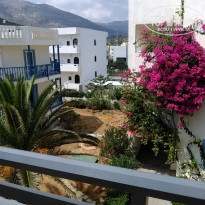 фото из отзыва ID 1465725