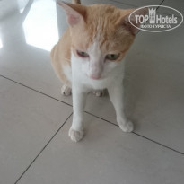 фото из отзыва ID 1465749