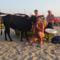 фото из отзыва ID 1465806