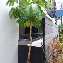 фото из отзыва ID 1465996