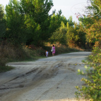 фото из отзыва ID 1465907