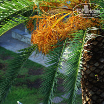 фото из отзыва ID 1465907