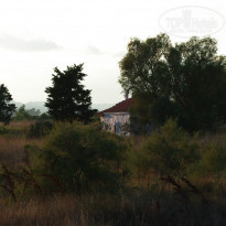 фото из отзыва ID 1465907