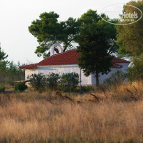 фото из отзыва ID 1465907