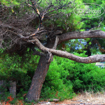 фото из отзыва ID 1465907