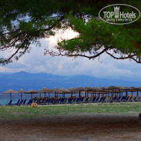 фото из отзыва ID 1465907