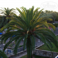 фото из отзыва ID 1465907