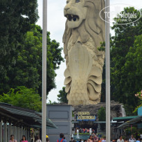 фото из отзыва ID 1466069