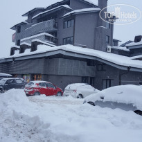 фото из отзыва ID 1466153