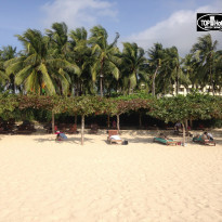 фото из отзыва ID 1466252