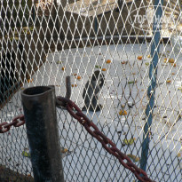 фото из отзыва ID 1466335