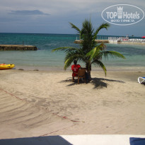 фото из отзыва ID 1466388