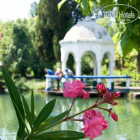 фото из отзыва ID 1466507