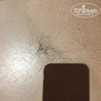 фото из отзыва ID 1466588