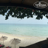 фото из отзыва ID 1466672