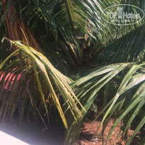 фото из отзыва ID 1466754