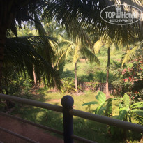 фото из отзыва ID 1466754