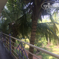 фото из отзыва ID 1466754