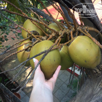 фото из отзыва ID 1466754