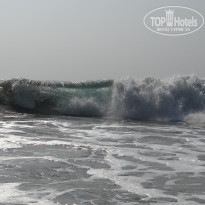 фото из отзыва ID 1466783