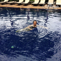 фото из отзыва ID 1466894