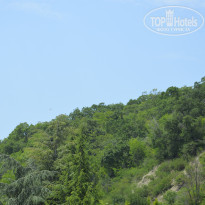 фото из отзыва ID 1466954