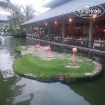 фото из отзыва ID 1466960