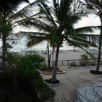 фото из отзыва ID 1467094