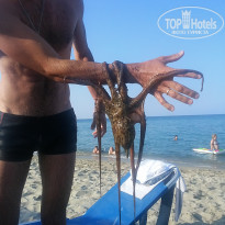 фото из отзыва ID 1467118