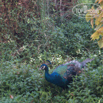 фото из отзыва ID 1467138