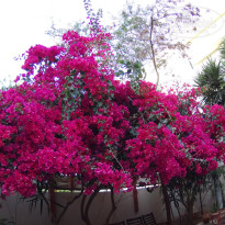 фото из отзыва ID 1467363