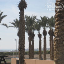 фото из отзыва ID 1467417