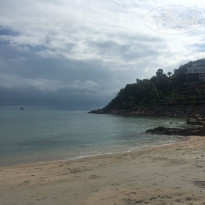 фото из отзыва ID 1467789