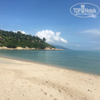 фото из отзыва ID 1467789