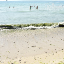 фото из отзыва ID 1467805