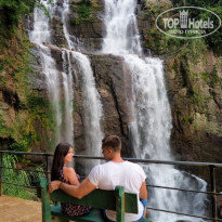 фото из отзыва ID 1467840