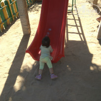 фото из отзыва ID 1467971