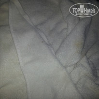 фото из отзыва ID 1468004