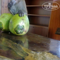 фото из отзыва ID 1468048