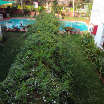 фото из отзыва ID 1468076