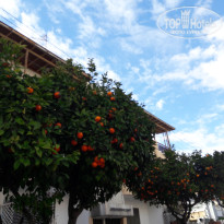 фото из отзыва ID 1468100