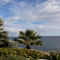 фото из отзыва ID 1468100