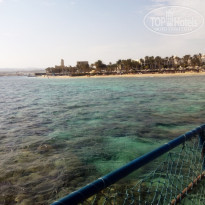 фото из отзыва ID 1468245