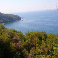 фото из отзыва ID 1468251