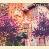 фото из отзыва ID 1468251