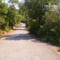 фото из отзыва ID 1468251