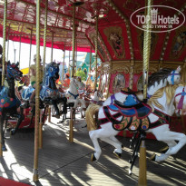 фото из отзыва ID 1467950