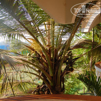 фото из отзыва ID 1468669