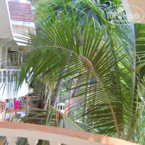 фото из отзыва ID 1468669