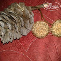 фото из отзыва ID 1468442